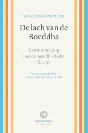 Rechtstreeks Van De Fabrikant De lach van de Boeddha