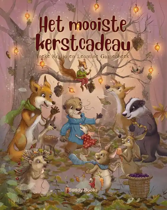 Het mooiste kerstcadeau - Ineke Kraijo Koopje