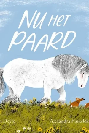 Nu Kopen Nu het paard