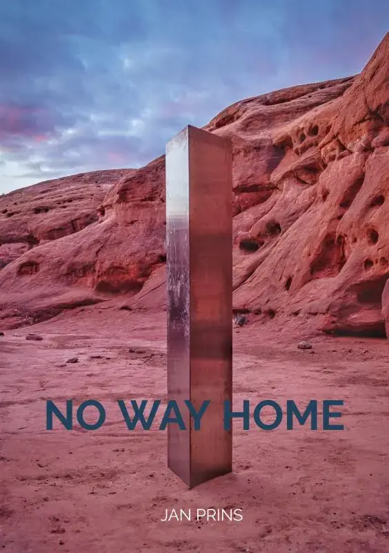 Express Levering NO WAY HOME