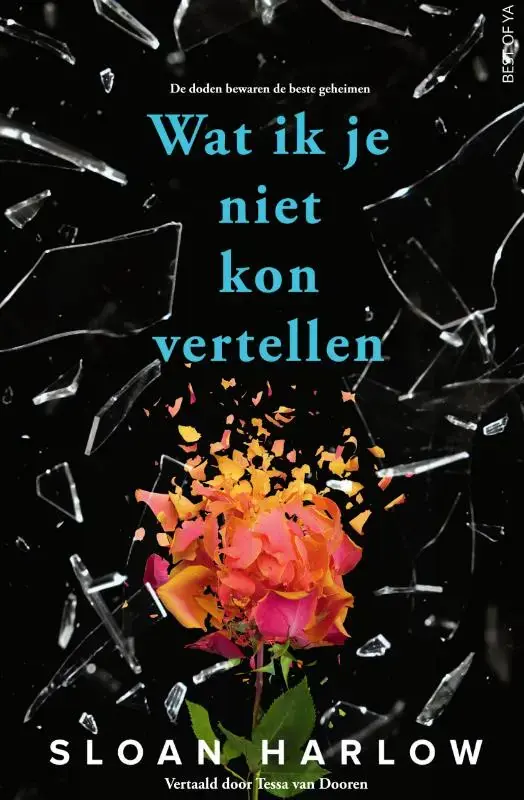 Gereduceerde Prijs Wat ik je niet kon vertellen