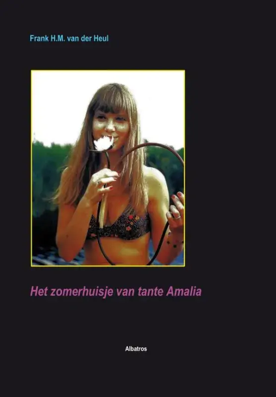 Weekendaanbieding Het zomerhuisje van tante Amalia