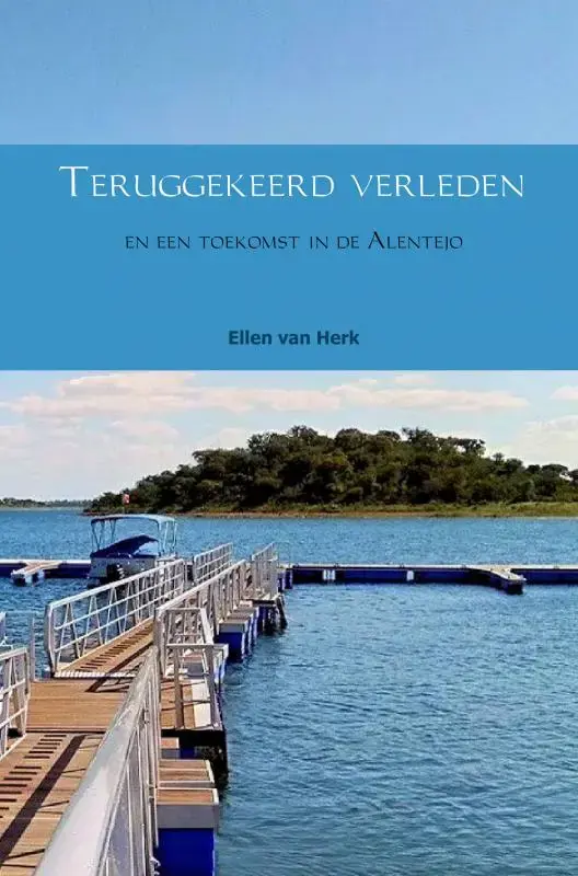 Teruggekeerd verleden Fabrieksprijs