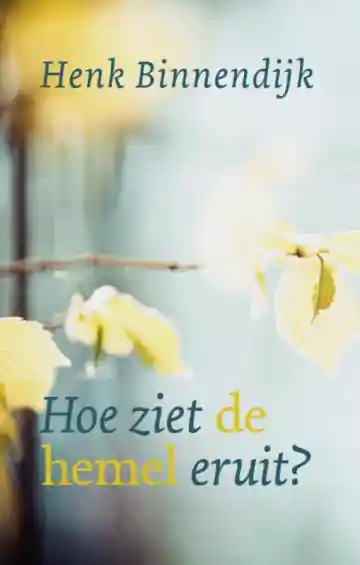 Hoe ziet de hemel eruit? - Henk Binnendijk Bestel Nu