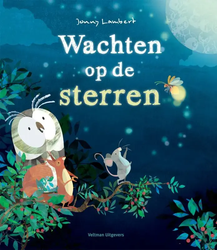 Rechtstreeks Van De Fabrikant Wachten op de sterren