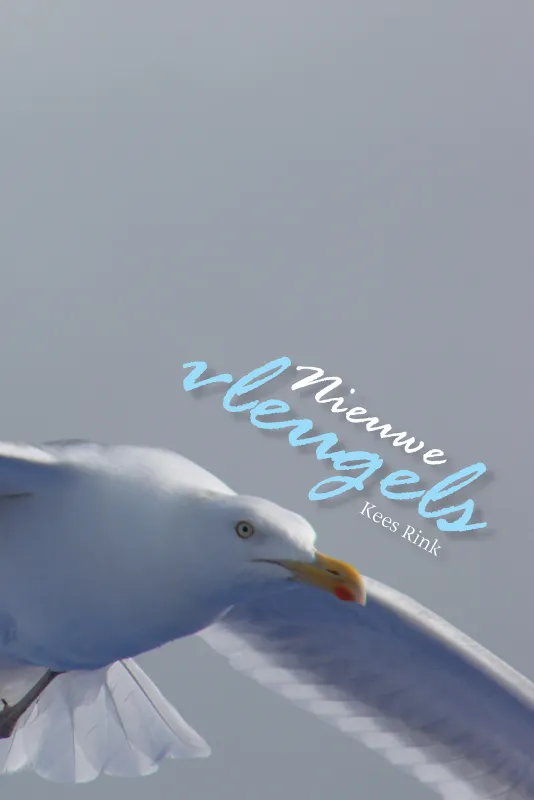 Gratis Retour Nieuwe vleugels
