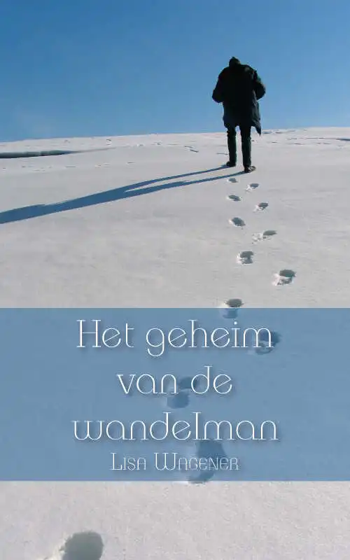 Snelle Levering Het geheim van de wandelman